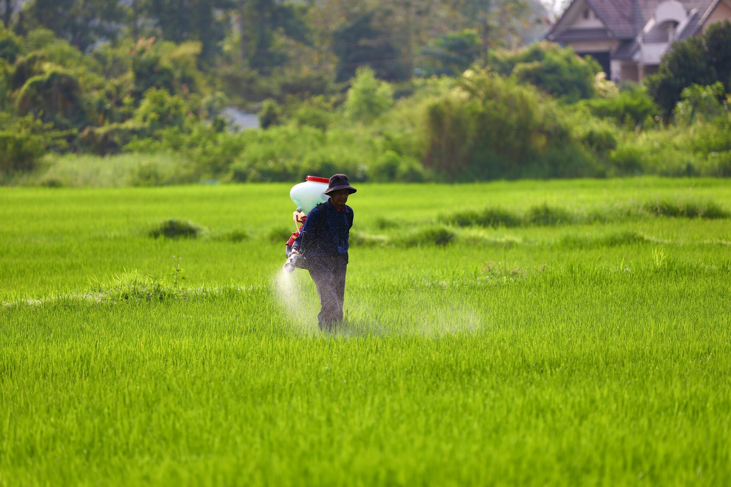 Calcium lignosulfonate is used as a fertilizer dispersant