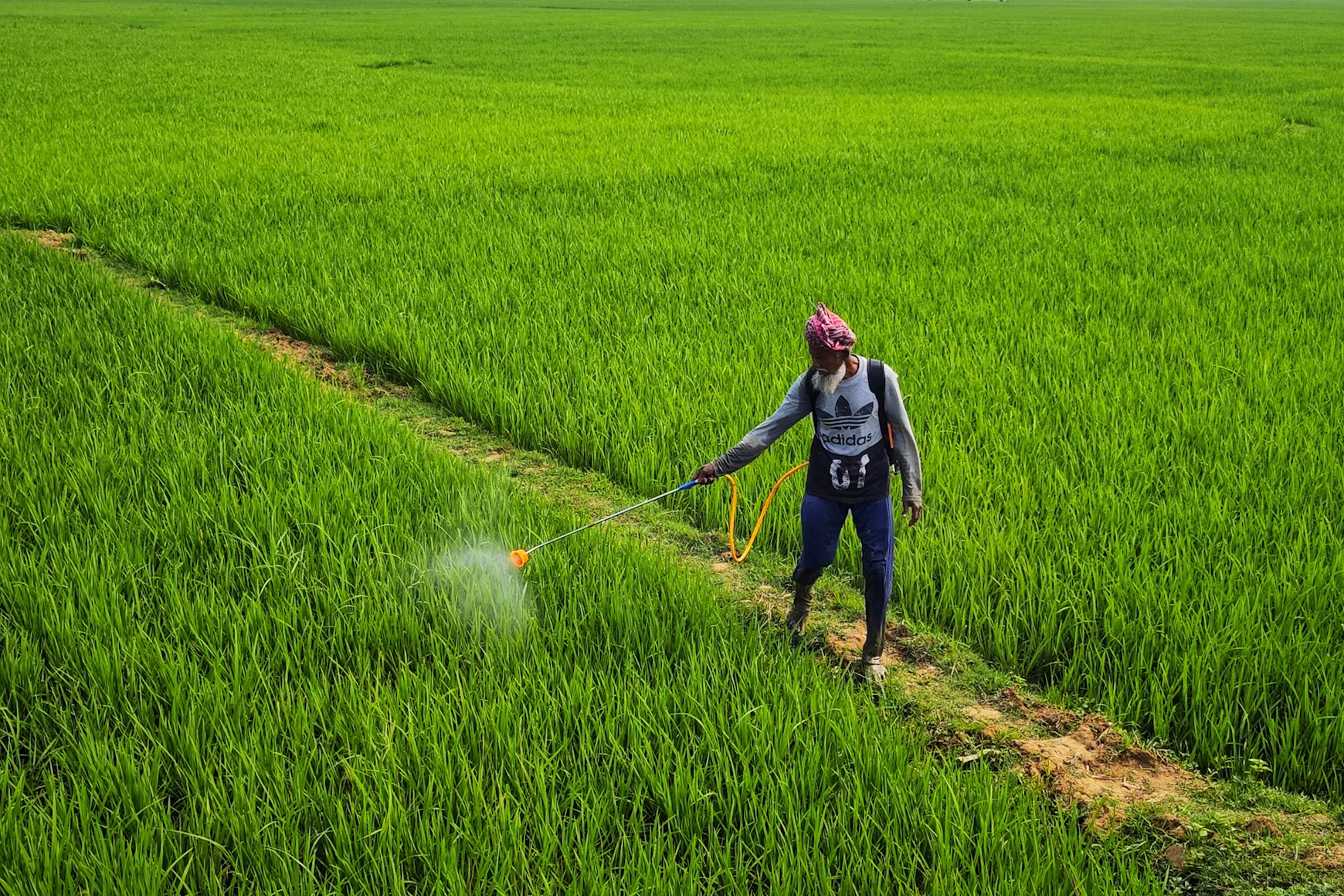 Lignosulfonate as a pesticide dispersant