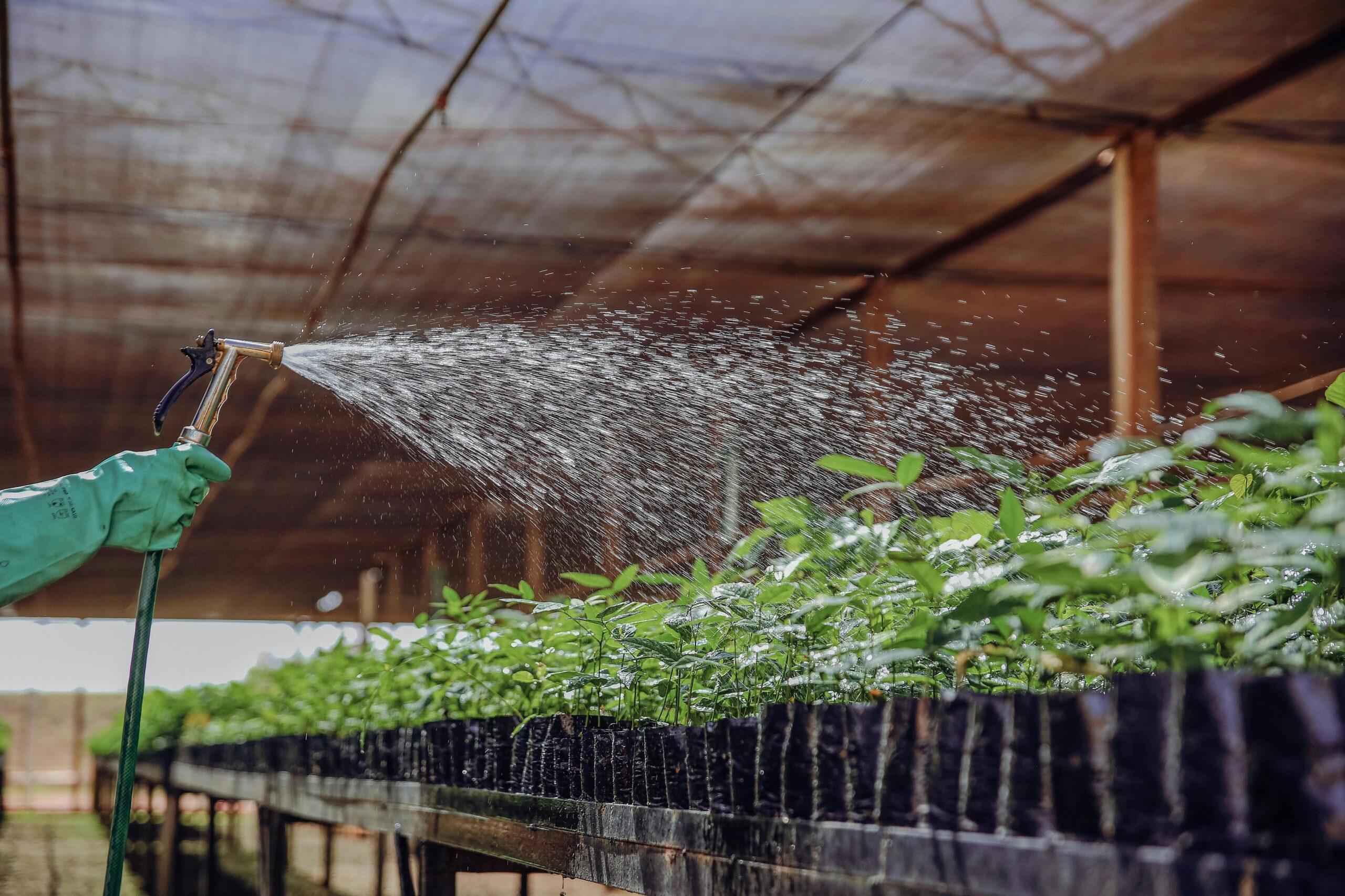 Lignosulfonate is used as a plant growth booster